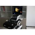 DW-C900 high end trolley 4D function color doppler máquina de ultrasonido